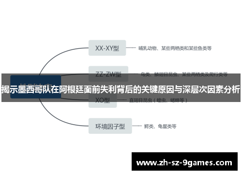 揭示墨西哥队在阿根廷面前失利背后的关键原因与深层次因素分析 揭示墨西哥队在阿根廷面前失利背后的关键原因与深层次因素分析