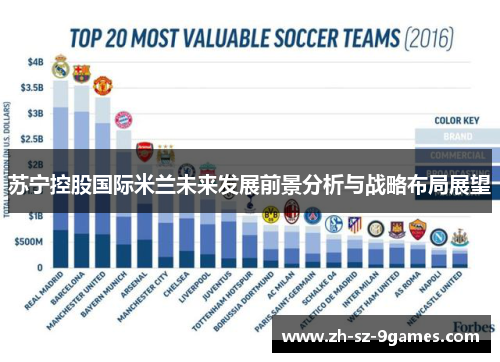 苏宁控股国际米兰未来发展前景分析与战略布局展望